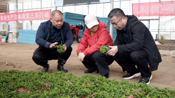 专家下沉解难题 科技赋能产业兴——省级科技特派团深入南丰开展技术指导
