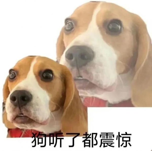 刚公布这 11000mAh 新机，太 惊喜了