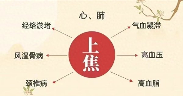 桃仁是真正通三焦隐藏高手, 上焦堵红花, 中焦堵陈皮, 下焦堵牛膝